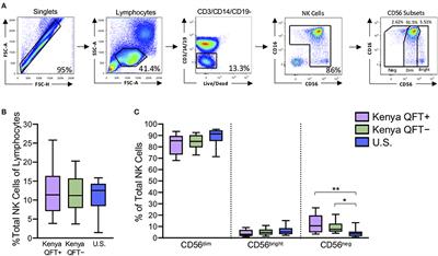 Distinct Human NK Cell Phenotypes and Functional Responses to Mycobacterium tuberculosis in Adults From TB Endemic and Non-endemic Regions